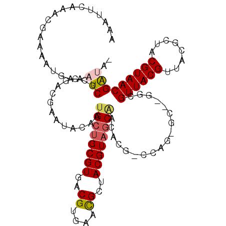 secondary structure