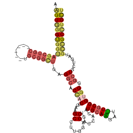 secondary structure