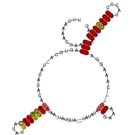 secondary structure