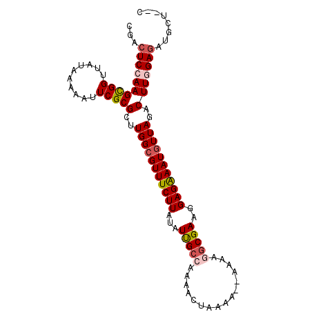 secondary structure