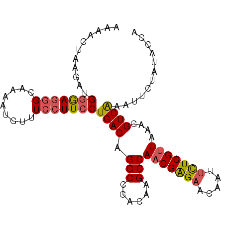 secondary structure