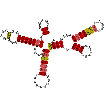 secondary structure