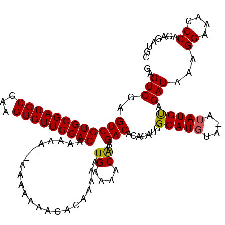 secondary structure
