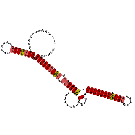 secondary structure