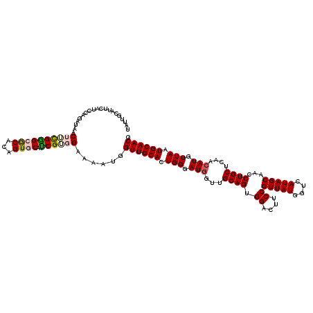 secondary structure