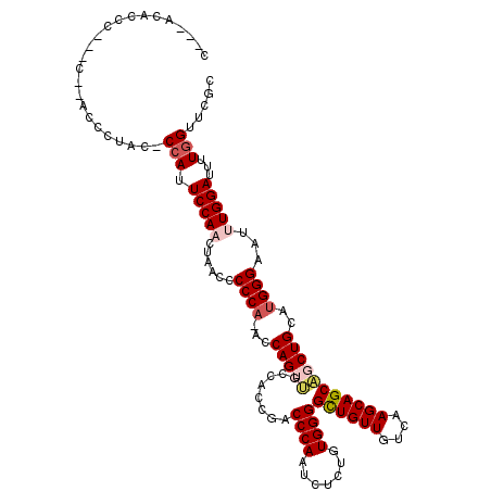secondary structure