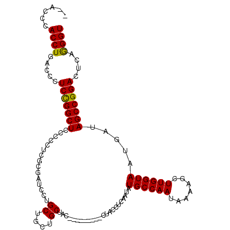 secondary structure