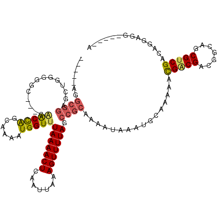 secondary structure