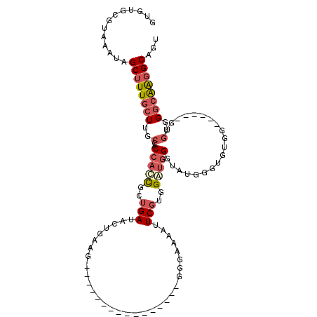 secondary structure
