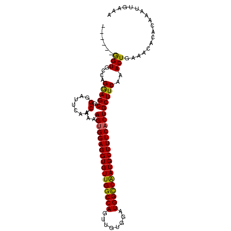 secondary structure