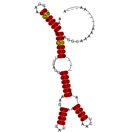 secondary structure