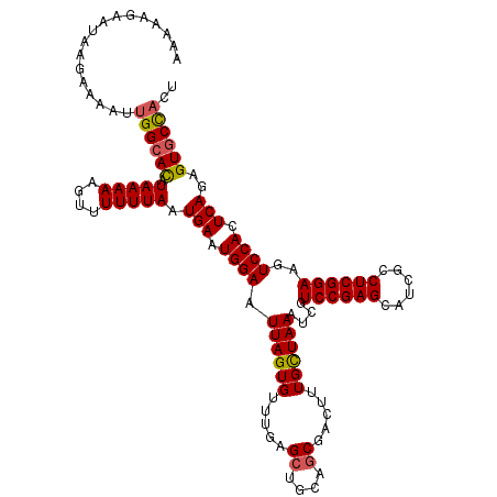 secondary structure