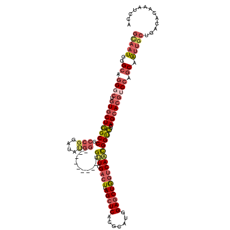 secondary structure