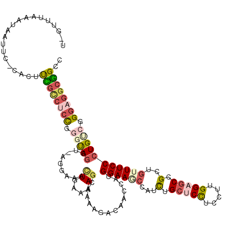 secondary structure