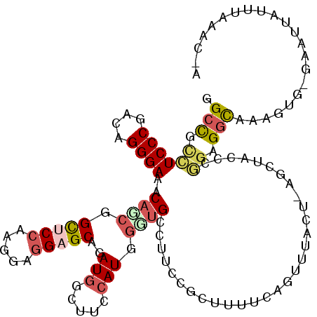 secondary structure