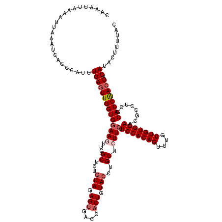 secondary structure
