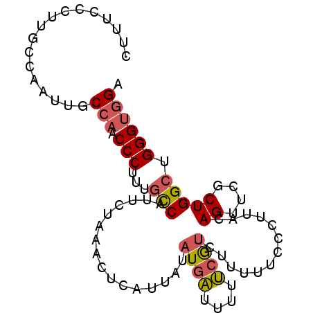 secondary structure