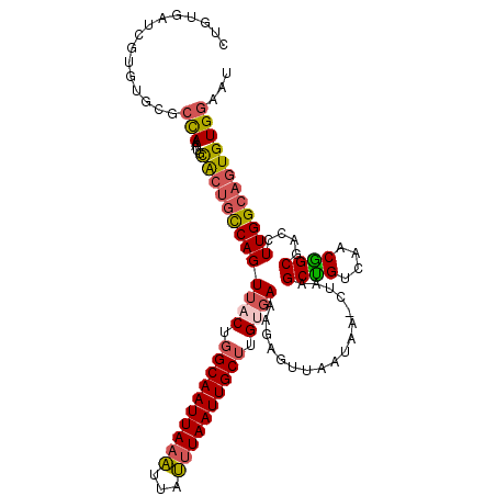 secondary structure
