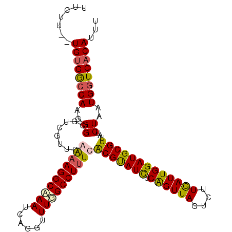 secondary structure