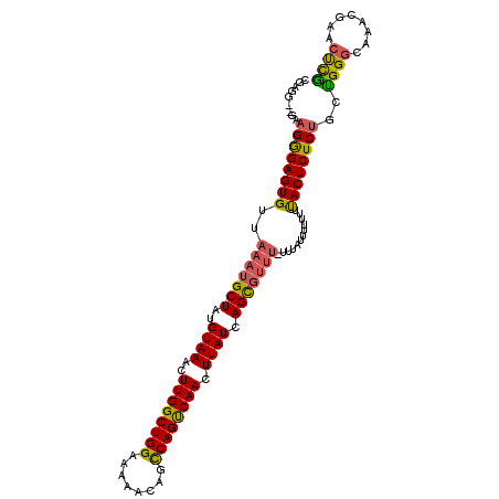 secondary structure