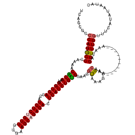 secondary structure