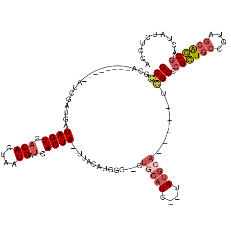 secondary structure