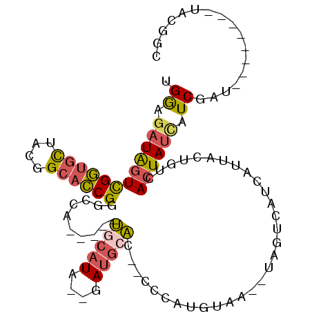 secondary structure