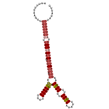 secondary structure
