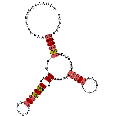 secondary structure