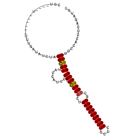 secondary structure
