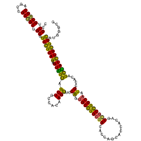 secondary structure