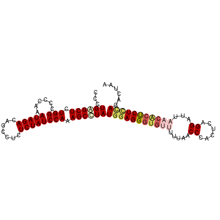 secondary structure
