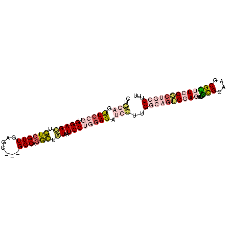 secondary structure
