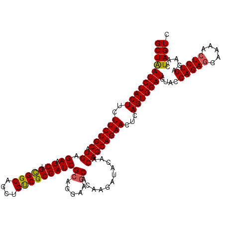 secondary structure
