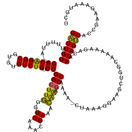 secondary structure