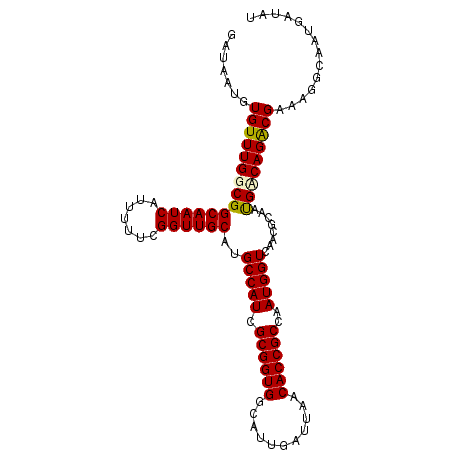secondary structure