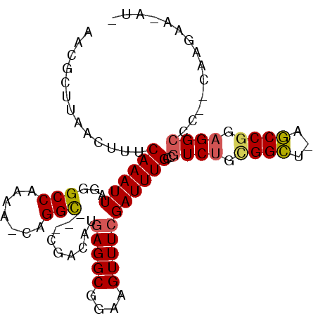 secondary structure