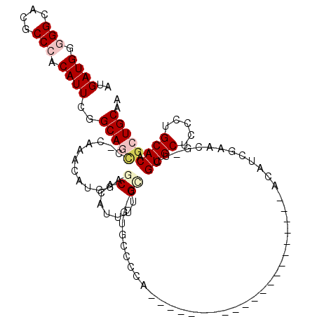 secondary structure