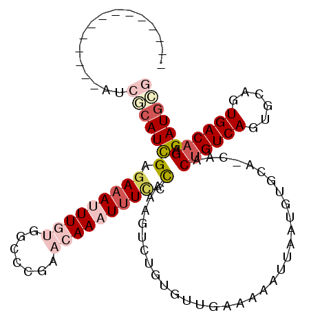 secondary structure