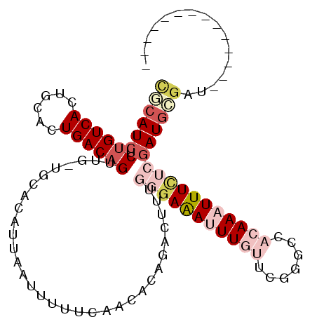 secondary structure