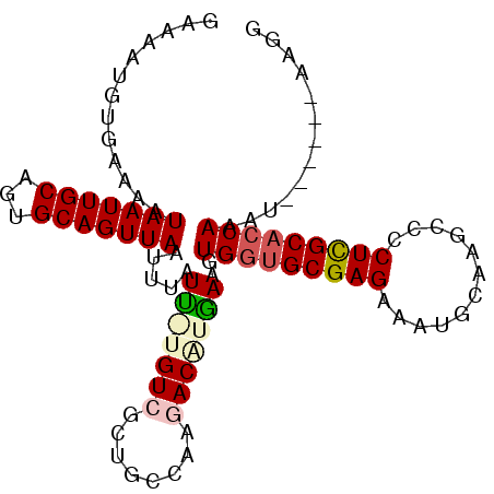 secondary structure