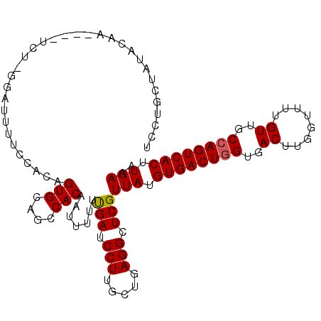 secondary structure