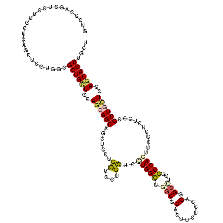 secondary structure