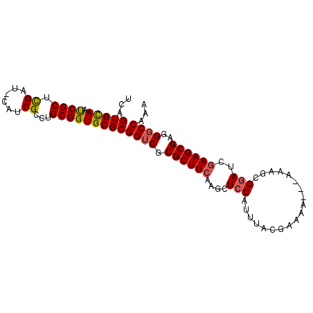 secondary structure