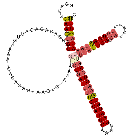 secondary structure