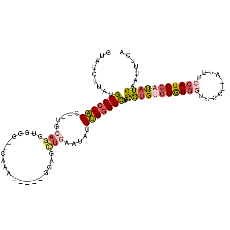 secondary structure