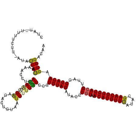 secondary structure
