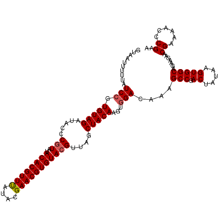 secondary structure