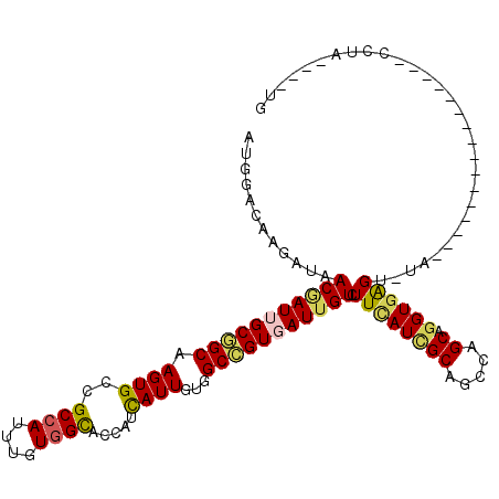 secondary structure