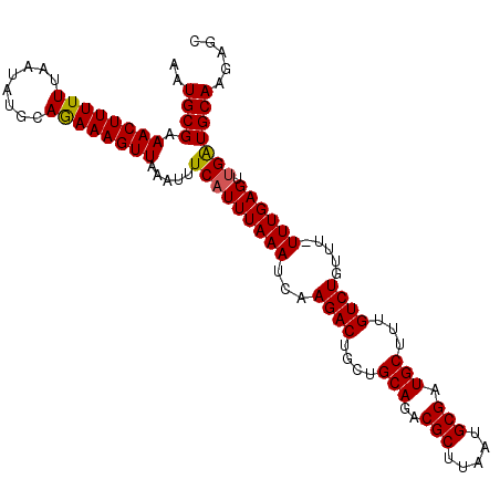 secondary structure